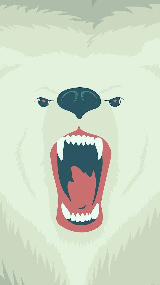 Fierce Polar Bear Winter  Android Best Wallpaper