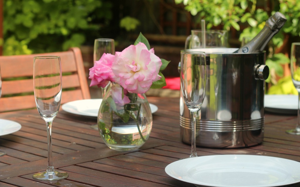 Fruit Trees Home Gardening Apple, Cherry, Pear, Plum Fruit Tree