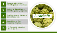 https://steviaven.blogspot.com/2017/10/9-plantas-medicinales-perder-peso.html https://steviaven.blogspot.com/2017/10/9-plantas-medicinales-perder-peso.html