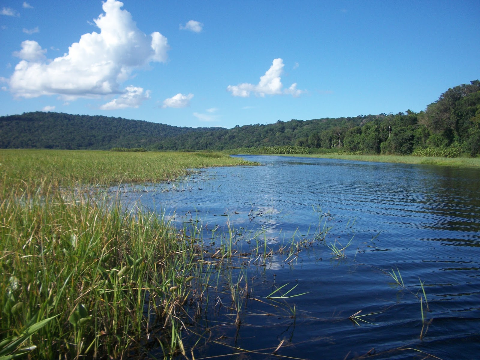 Marais De Kaw Et Cacao