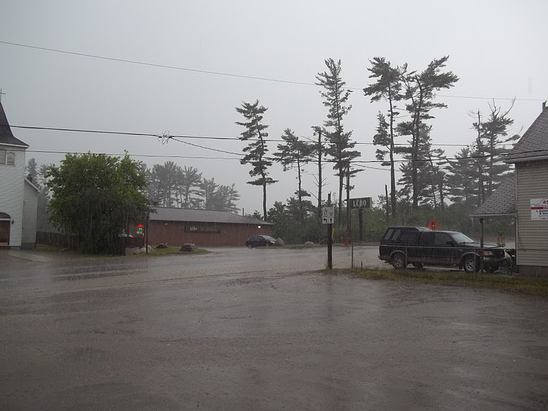 Ride on, Highway Cat !! Mattawawawawa