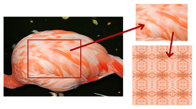 Caribbean Flamingo Feathers