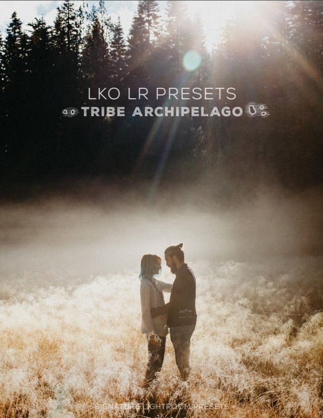 Tribe Archipelago LKO LR & ACR Presets mydohoa