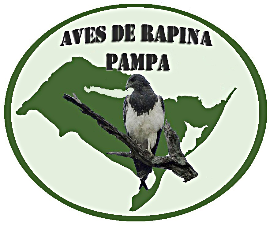 Aves de Rapina Pampa