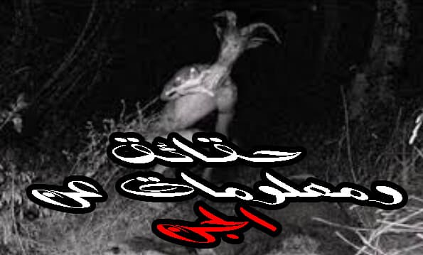 حقائق ومعلومات عن الجن ستندهش بعد معرفتها