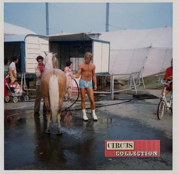 photo de Rolf Knie junior en petite tenue douchant un cheval dans la ménagerie du cirque
