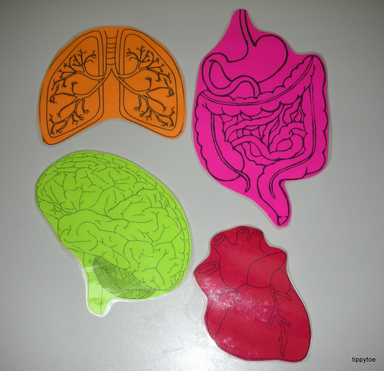 Tippytoe Crafts: Body Tracing