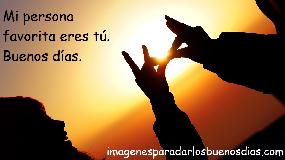 🌻🌞☀️🌹💜 Buen día mi amor espero que estés muy bien y que tu día este lleno de mucha felicidad 🌻🌞☀