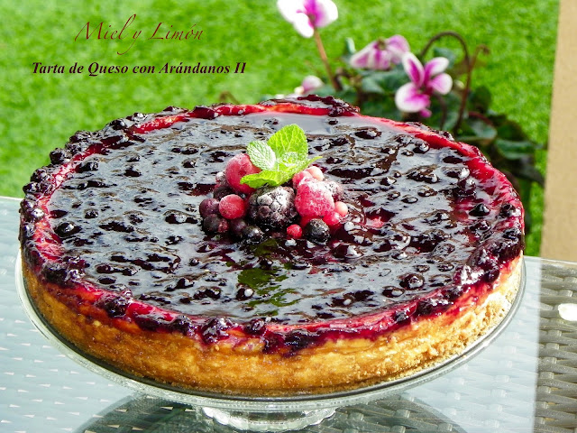 Tarta De Queso Con Arándanos Ii
