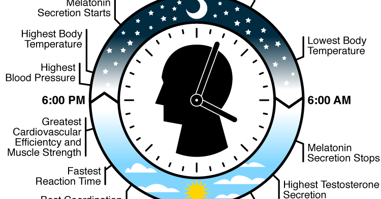 Are We Ignoring Our Body Clocks?