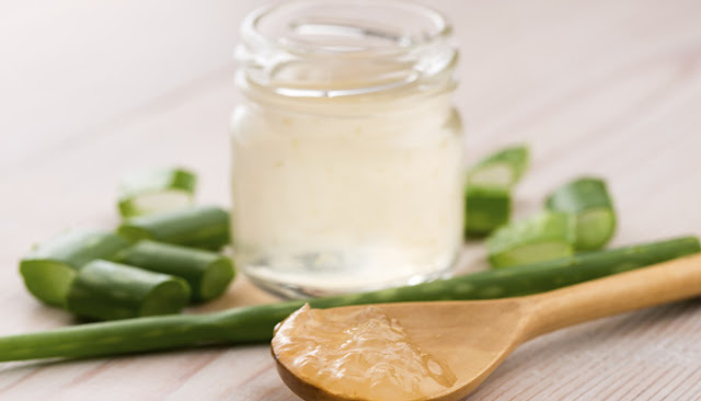 Obat Maag Dari Bahan Alami Obat Maag Dari Bahan Alami