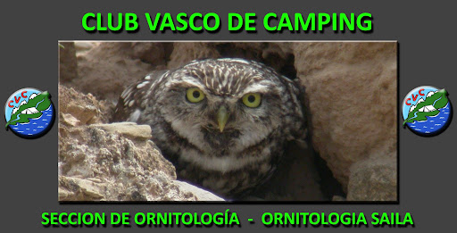 Club Vasco de Camping    Sección de Ornitología