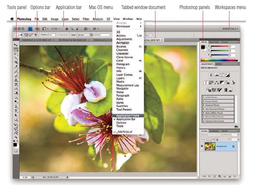 adobe photoshop elements for mac torrent