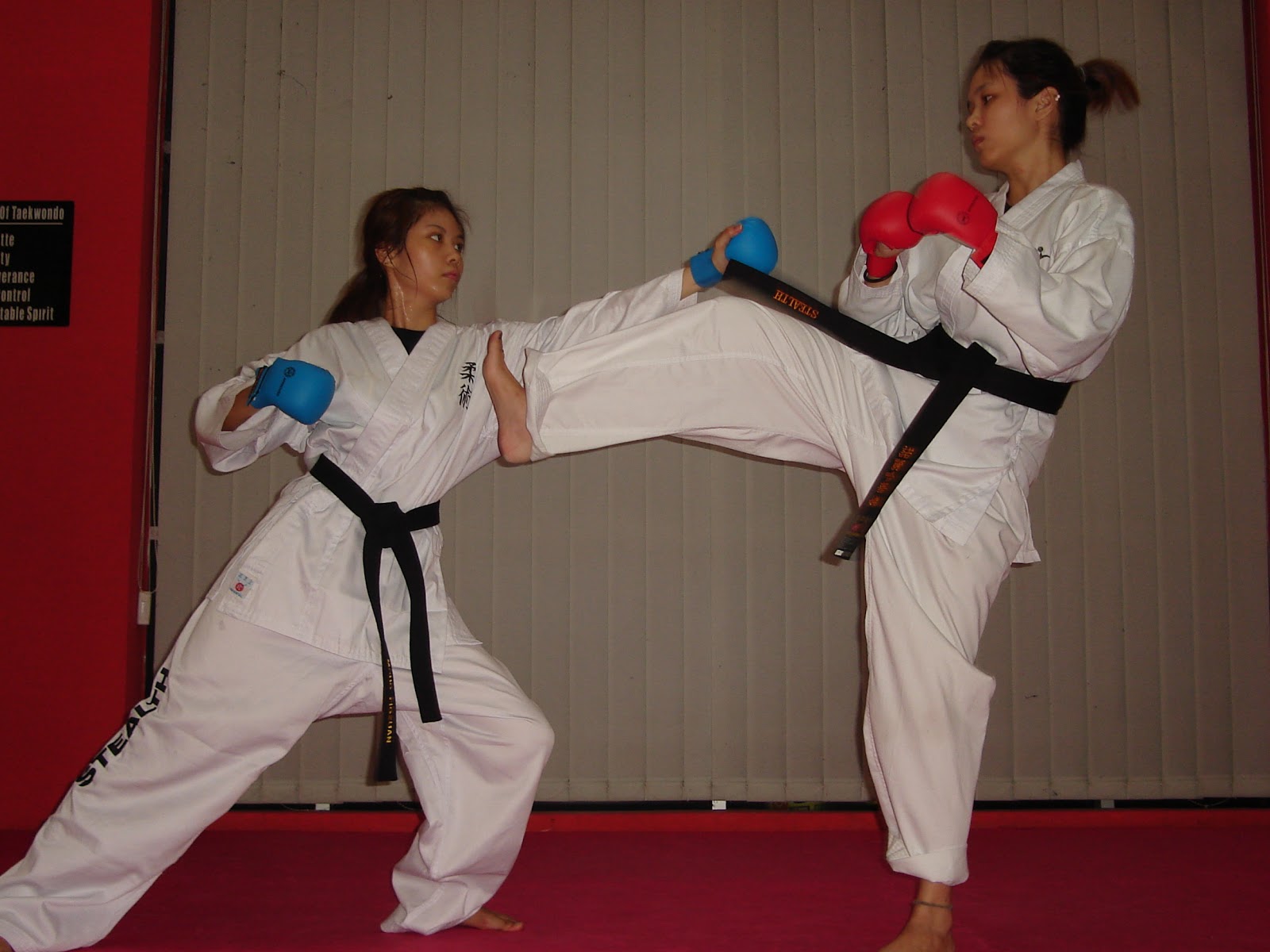 The Stealth Seiki - Ryu Karate Academy: The Stealth Seiki - Ryu Karate ...
