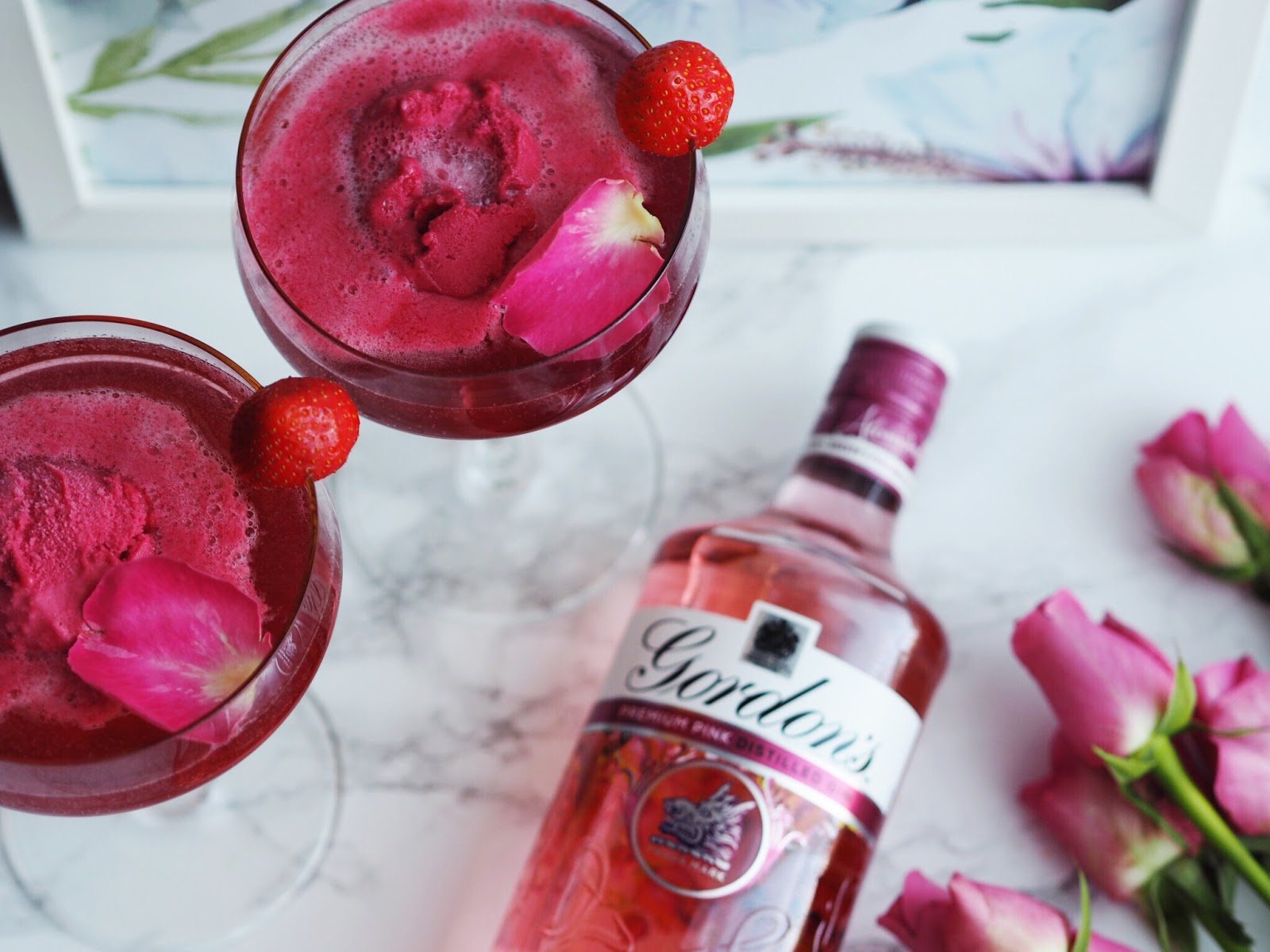 Gordons Pink Gin Fizz Cocktail Recipe Duo with Sorbet