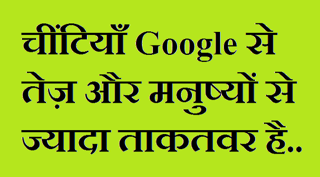 चींटियाँ Google से तेज़ और मनुष्यों से ज्यादा ताकतवर है