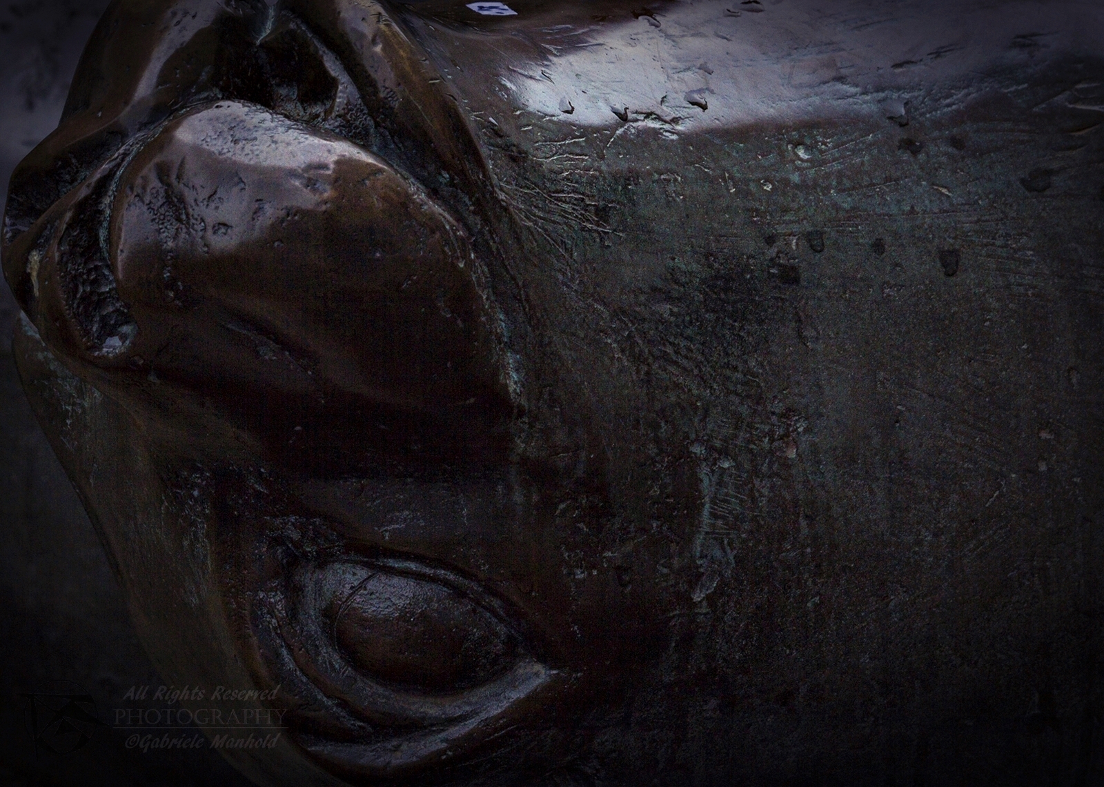 Achtung Sc Sparta Bremerhaven