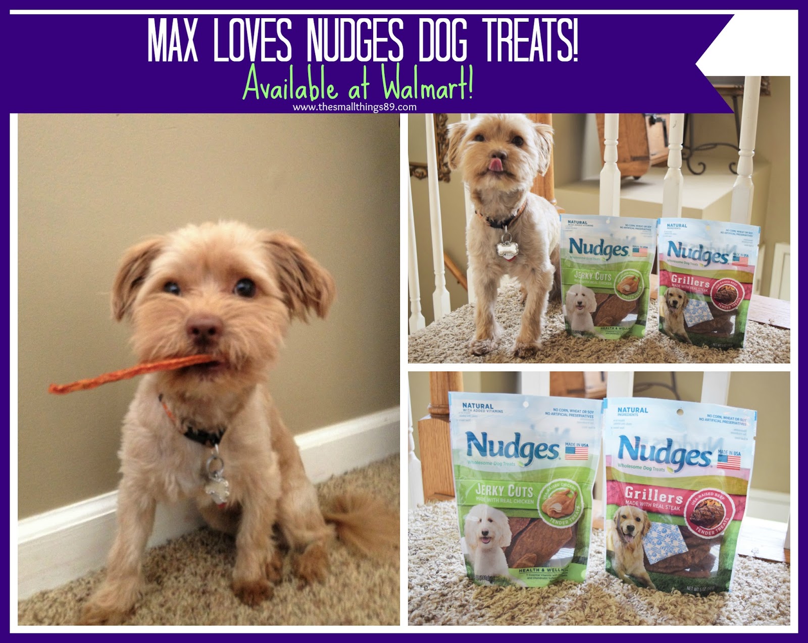 Nudges Wholesome Dog Treats available at Walmart! Max LOVES THEM! 