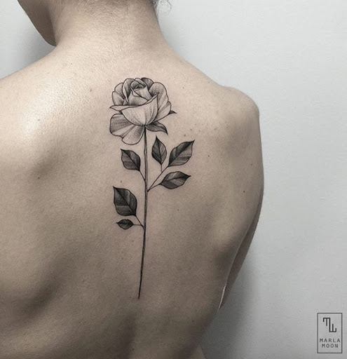 Este lindo o preto e o cinza tinta rosa