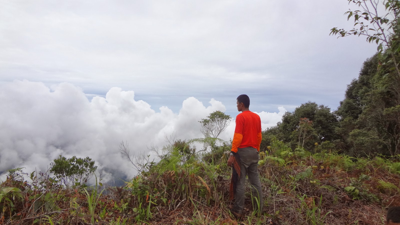 gendu gendu rasa: Sikunir dan Kendalisodo