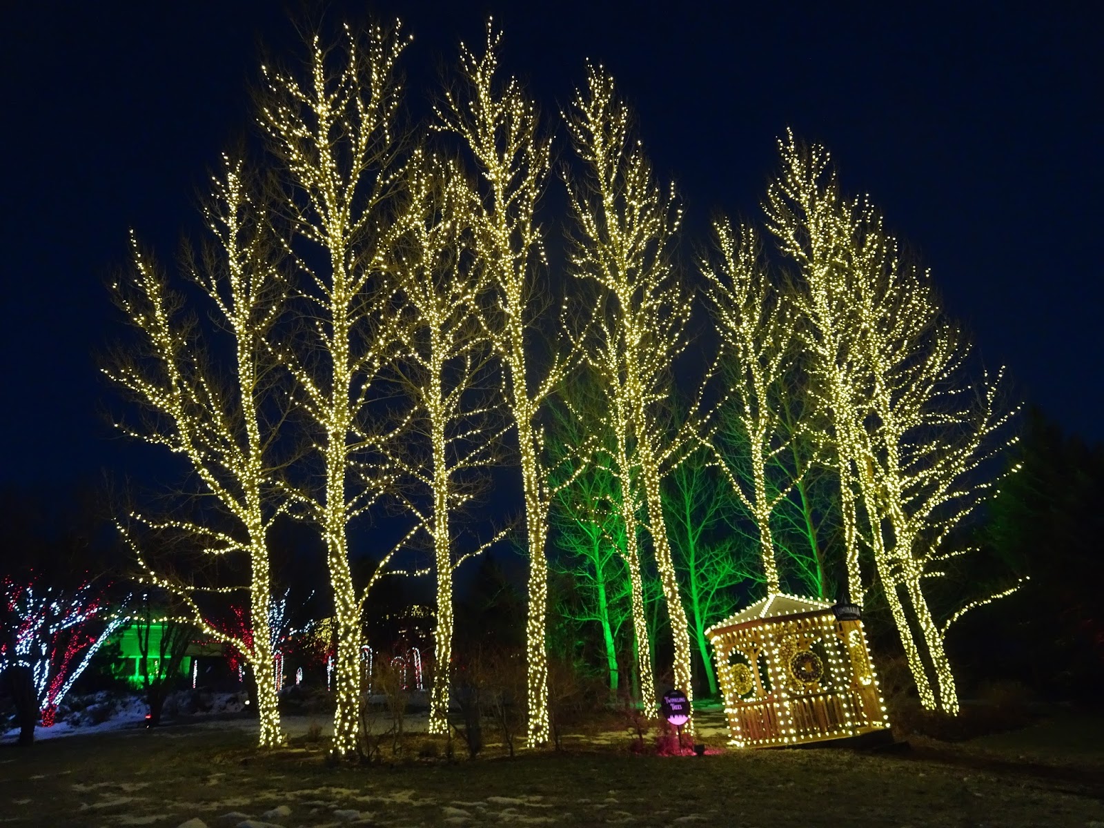 Trying to Stay Calm! Luminaria Experience The Light Review...