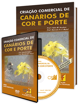 Curso de criação de canário de cor e porte: