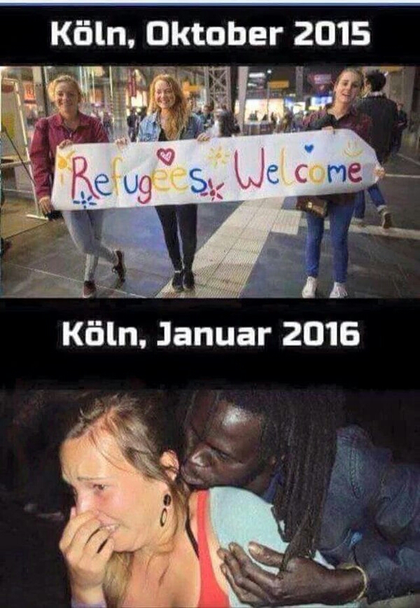 33 German Shepherd Memes That Will Make You Laugh Every Time