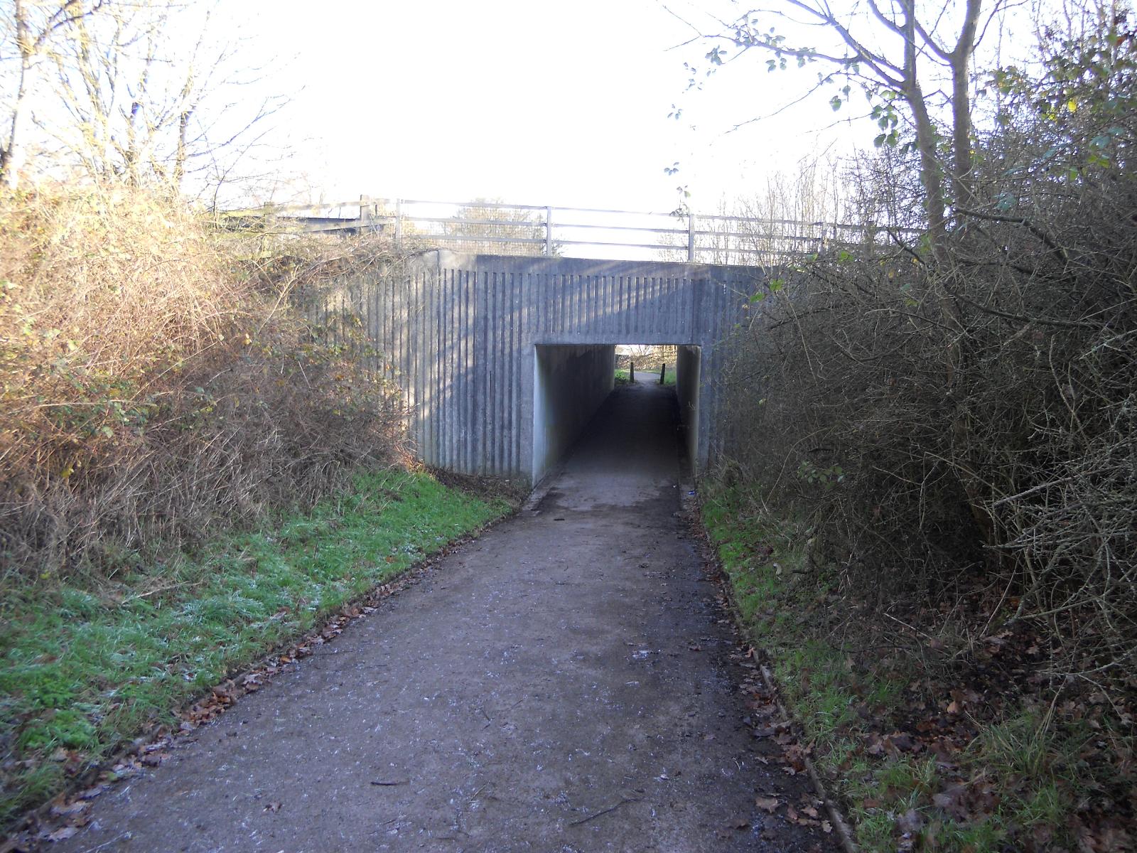 Bike Life January 2012