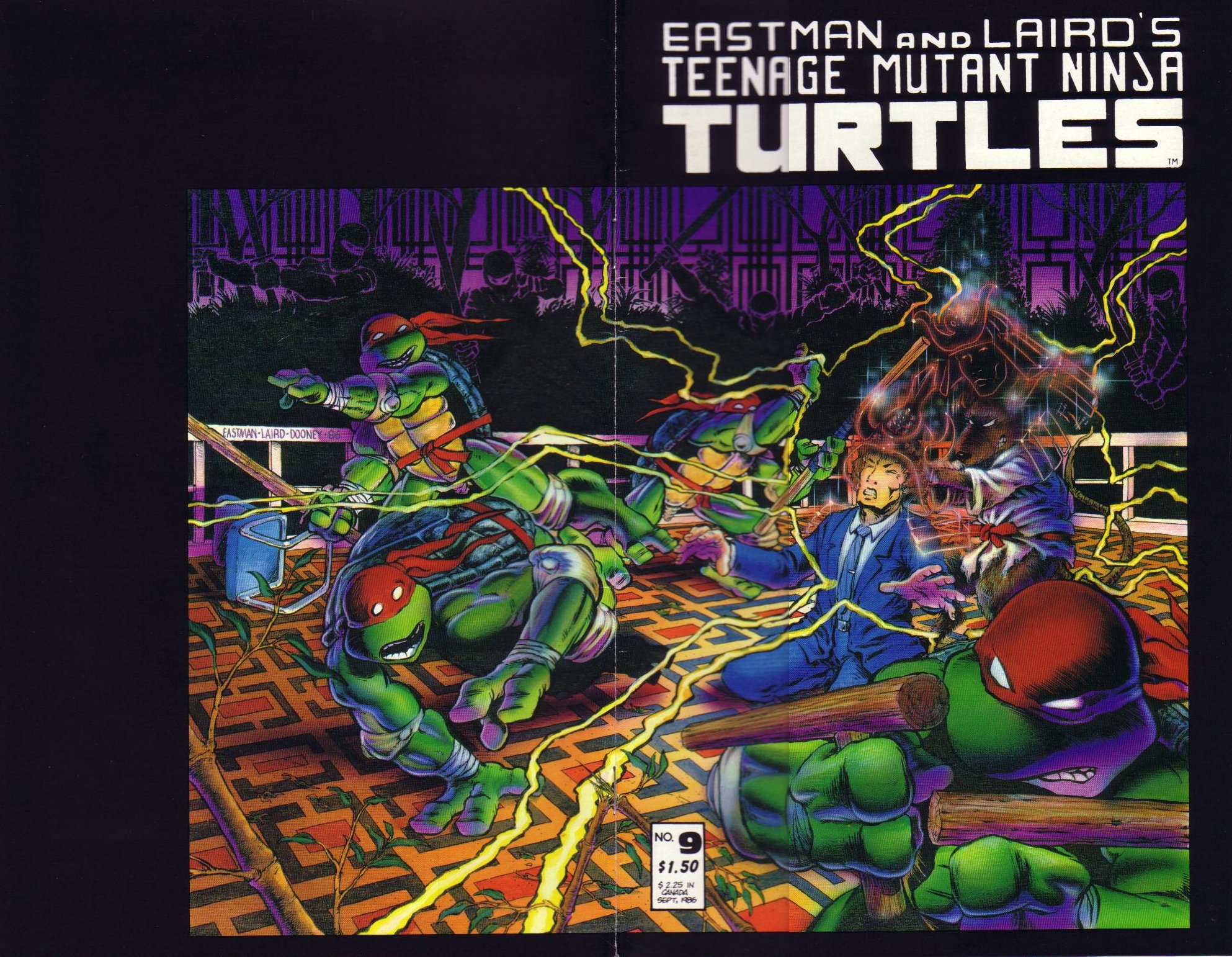 Teenage Mutant Ninja Turtles (1984) Issue #9 #9 - English 1