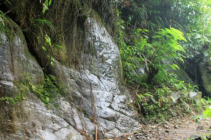 curug cadas ngampar bogor