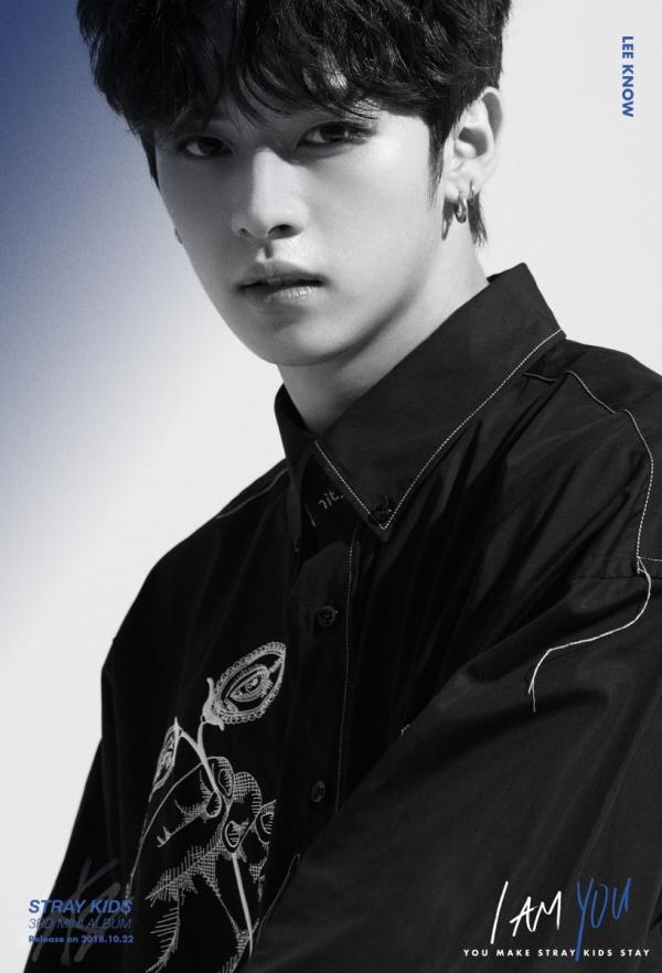 Profil, Biodata, Fakta Stray Kids Omah Kpop