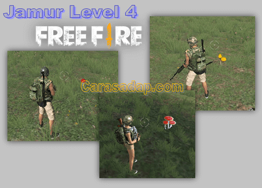 Lokasi Jamur Level 4 Free Fire