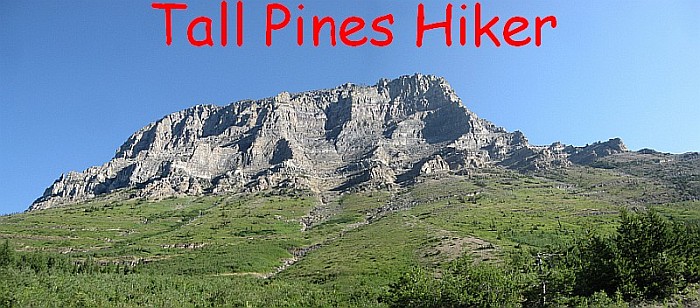 Tall Pines Hiker