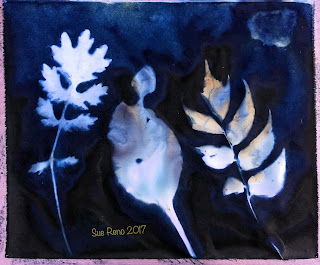 Wet cyanotype_Sue Reno_Image 218