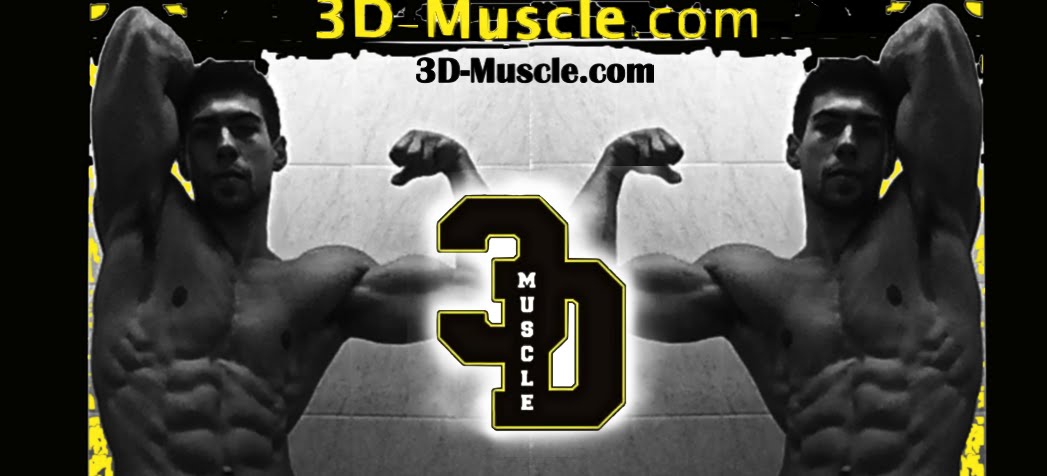3D-Muscle.com