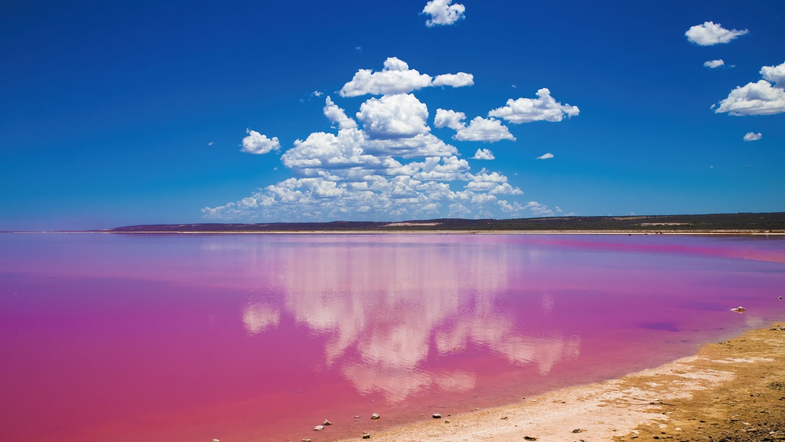 科學月刊: 前往世界異境尋找粉紅湖