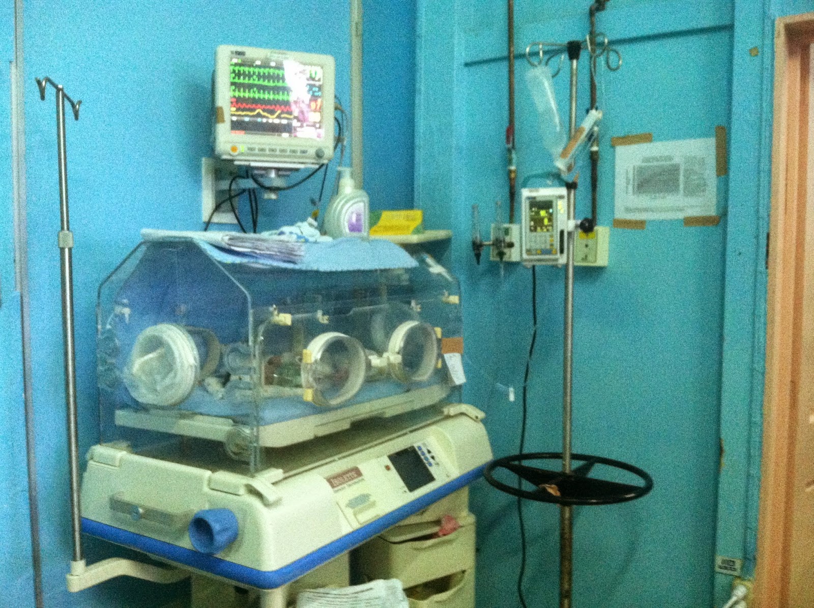 Guyana Nurse Training Program: The Giraffe in the room