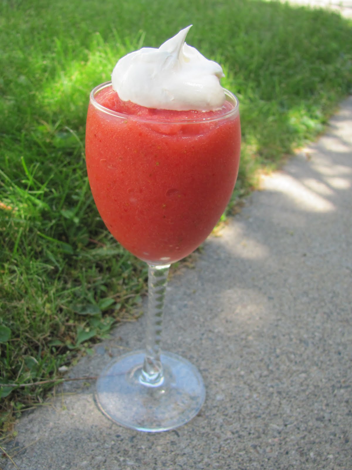 The Girly Girl Cooks Julie's Famous Daiquiris