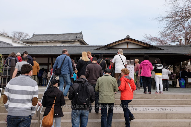 Himeji Castle Sakura Spot