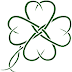 Clover 3.0.406