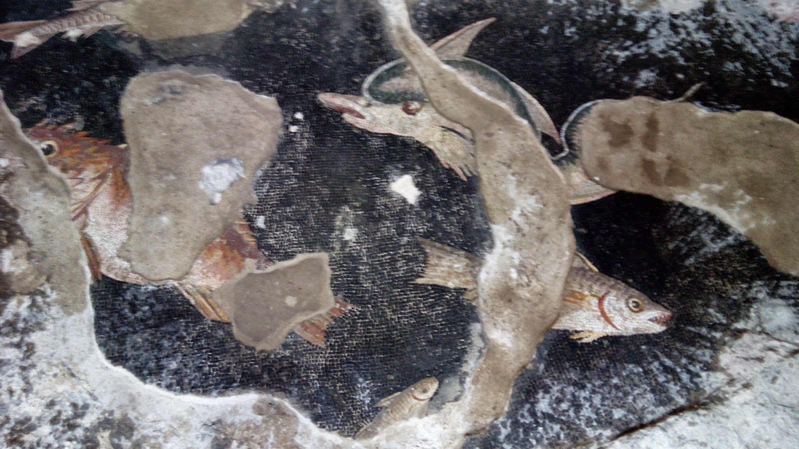 Mosaicos com peixe em Palestrina