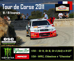 Tour de Corse 2011