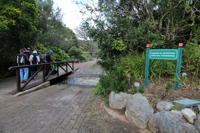 Jardín Botánico Kirstenbosch en Ciudad del Cabo