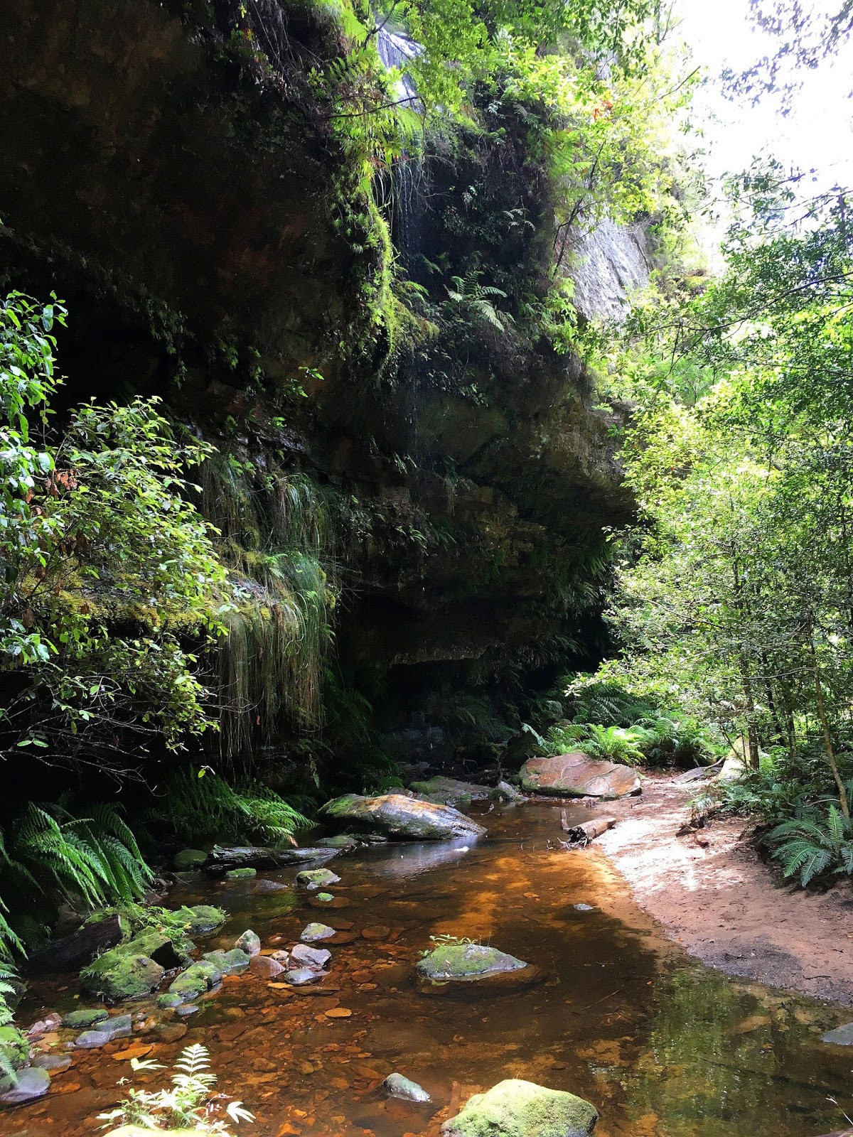 Hiking solo the Grand Canyon in Australia's Blue Mountains has been one of the greatest adventures. With breathtaking views and endless stairs, come and find out more!