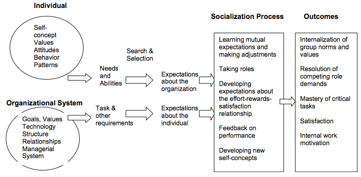 Socialization and human sexuality