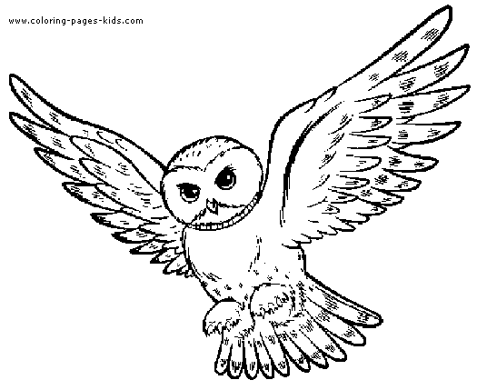 Owl Colouring Pages For Kids Owl Coloring Pages For Kids Animals Coloring Pages For Kids