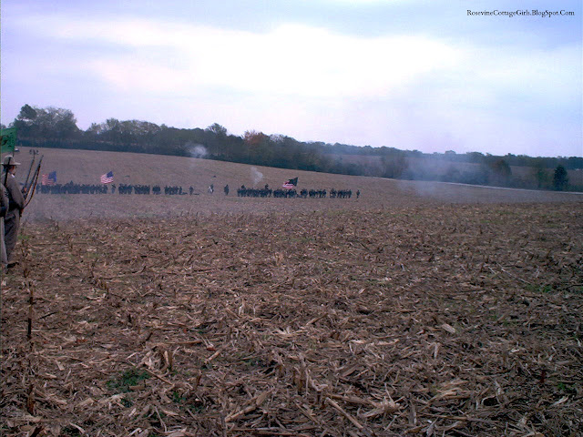 Photo of a corn field that has been harvested leaving the rough short base of the corn as far as the eye can see. A large stand of trees frames the field and soldiers stand in a row in the middle and the left side of the field. There is what appears gray fog that is floating among the men and across the brown field but it isn't fog, it is smoke from gunfire and the fire of cannons. The men hold the American Flag and await orders to charge into battle. The sky is gray and it is a cool November day in Tennessee. We are at the Battle of Spring Hill reenactment. The air is filled with the retort of gunfire and the earth shakes beneath our feet as the cannons booming shakes us all. By rosevinecottagegirls.com