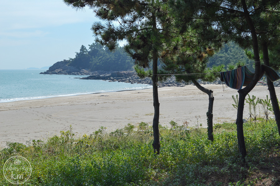 beach camping, namyeol beach, south korea