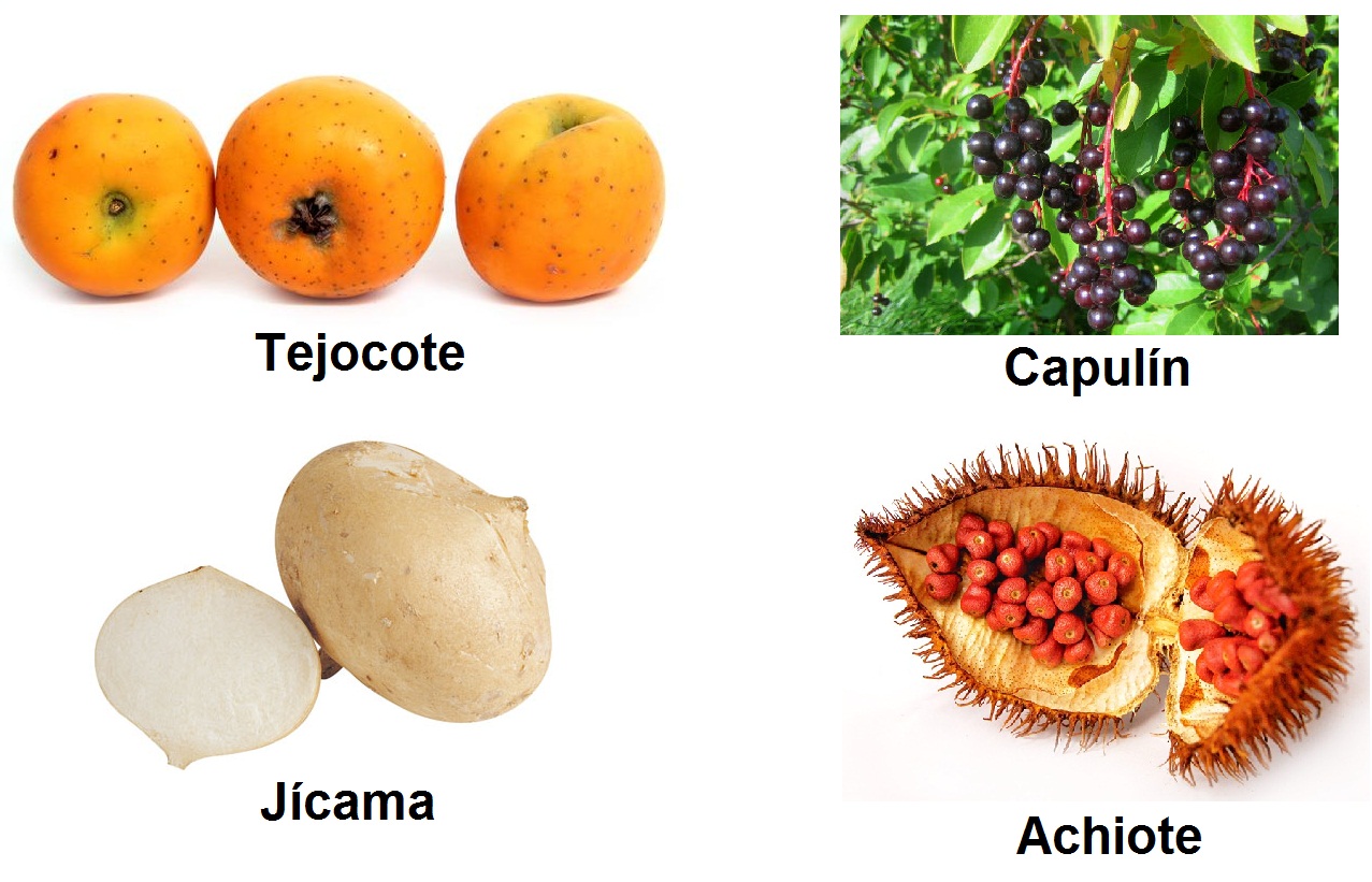Alimentos Que Trajeron Los Españoles A Mexico tareasinvestigacionesescolares.blogspot.com
