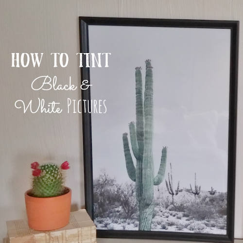 How to Tint Black & White Pictures